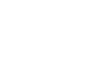 DS Marketing digital