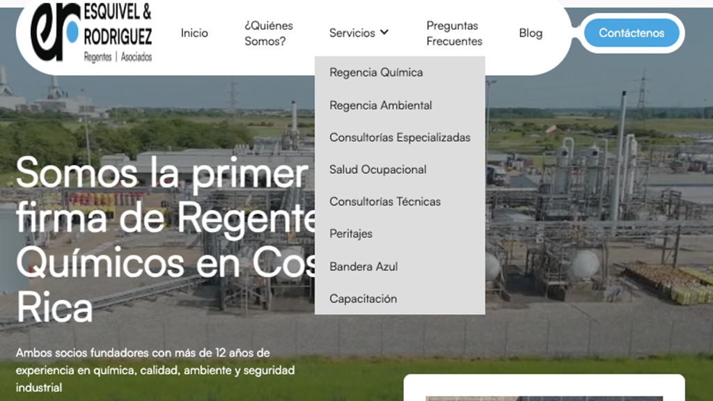 Diseño Web DSamuro. Regentes Químicos Esquivel y Rodriguez